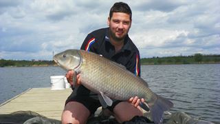Buffalo Carp - Tancabsti